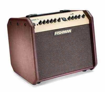 Photo of Fishman Loudbox Mini (sold)  